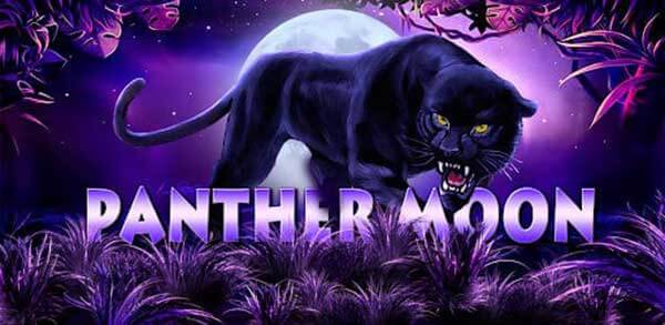 รีวิวเกม Panther Moon